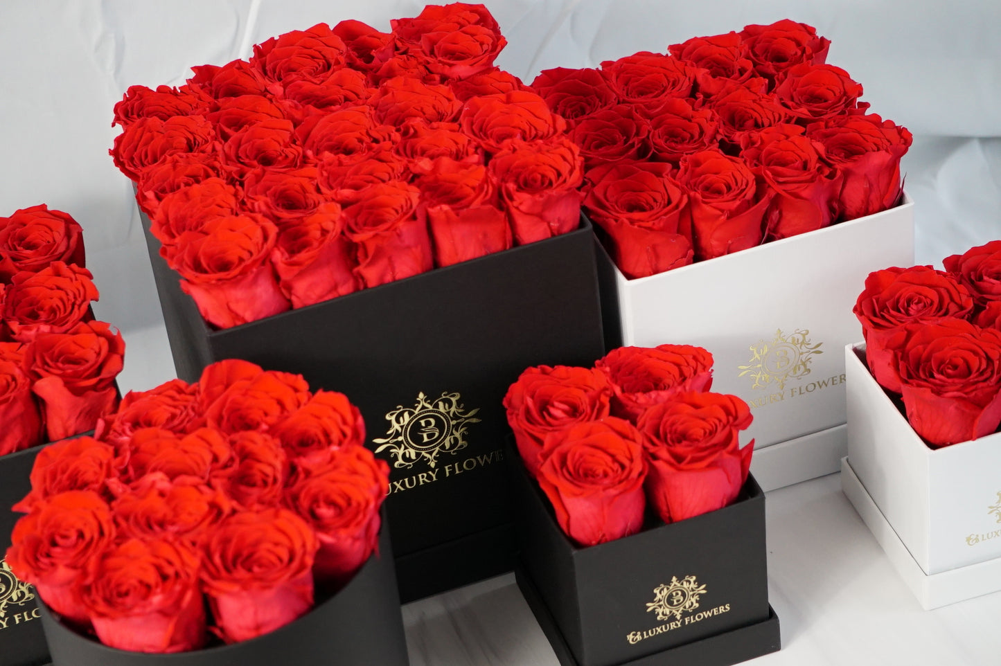 Squared Elegance: 20 Preserved Roses Box