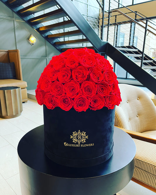 "Dome Velvet Grandeur: 100 Preserved Roses Luxury Box"