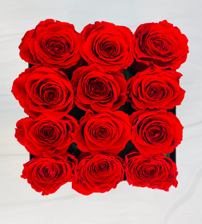Squared Elegance: 12 Preserved Roses Box
