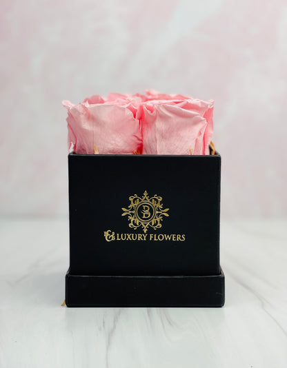 Petite Square Elegance: 4 Preserved Roses Luxury Box