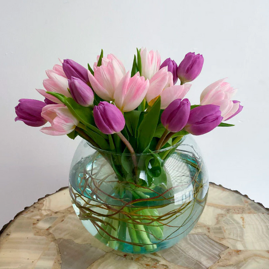Opulent Tulip Elegance: 20-Blossom Ensemble