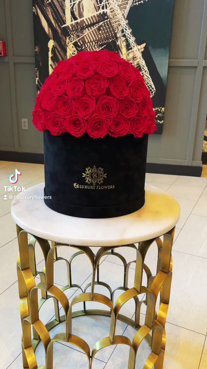 "Dome Velvet Grandeur: 100 Preserved Roses Luxury Box"